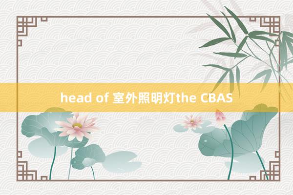 head of 室外照明灯the CBAS